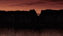 a cartoon character is flying through a field with a sunset in the background ..