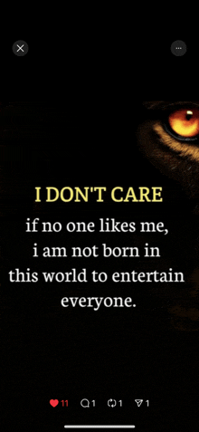 a picture of a tiger 's eye with the words " i don t care if no one likes me "