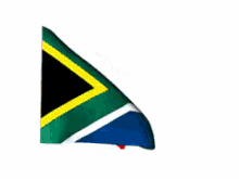 South Africa GIF - South Africa GIFs