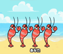 shrimp minna