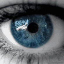 Bran Eye GIF - Bran Eye Blue Eyes GIFs