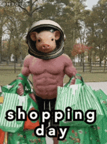 a picture of a pig wearing a helmet and holding shopping bags
