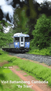 a blue and white train is going down the tracks in a forest