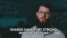 Sharks Have Very Strong Immune Systems The Shark Immune System GIF - Sharks Have Very Strong Immune Systems The Shark Immune System When Sharks Attack GIFs