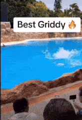 Get Griddy GIF