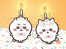two cartoon characters with candles on top of them