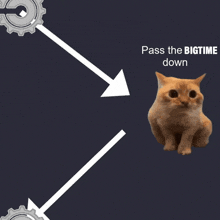 Pass Big Time Pass The Big Time Down GIF - Pass Big Time Pass The Big Time Down Cat Bigtime Token GIFs