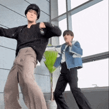 two men are dancing in front of a window and a potted plant .
