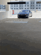 Genesis Coupe Genny GIF