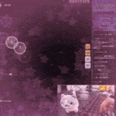 a purple background with a keyboard and a picture of a cat on it