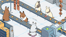 a bunch of rabbits are sitting on a conveyor belt with chinese writing on it