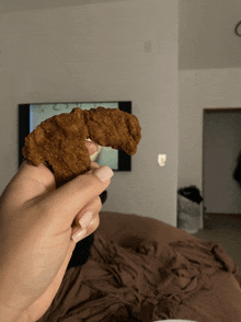 a person holding a piece of fried chicken in front of a tv