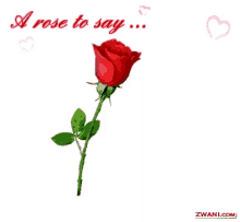 I Love You A Rose To Say GIF - I Love You A Rose To Say Ily GIFs