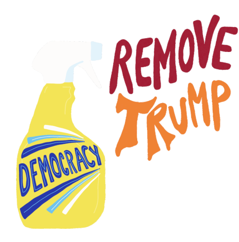Remove Trump Democracy Sticker - Remove Trump Democracy Windex Stickers