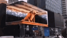 Lion Escaping Glass Shattering GIF - Lion Escaping Glass Shattering Lion GIFs