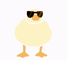 cool duck duck cool sunglasses