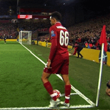 a soccer player wearing a red jersey with the number 66 on it