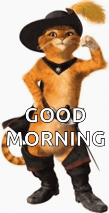 a cat wearing a hat and boots with the words good morning below it