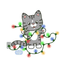 christmas cats cat christmas lights kitten