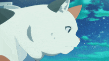 a close up of a cat 's face with a blue sky behind it