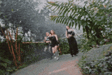 three women are walking down a path in a jungle