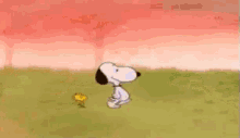 Snoopy Woodstock GIF - Snoopy Woodstock Thanksgiving GIFs