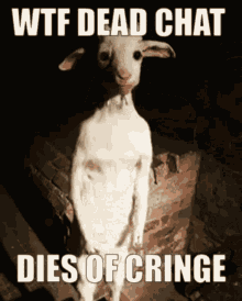 Wtf Dead Chat Dies Of Cringe GIF - Wtf Dead Chat Dies Of Cringe Dead Chat GIFs
