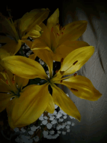 beauty flowers