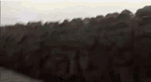 Godzilla Godzillasaurus GIF - Godzilla Godzillasaurus Tail Swipe GIFs