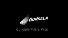Gundala Gundalaputrapetir GIF - Gundala Gundalaputrapetir Putrapetir GIFs
