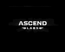 a black and white logo for ascend labs with wings on it