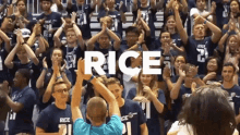 Rice Owls Rice University GIF - Rice Owls Rice University Rice Bound GIFs