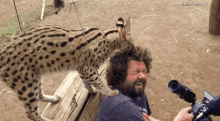 Hair Cheetah GIF - Hair Cheetah GIFs