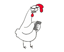 chicken chicken bro phone mad angry
