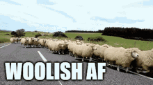 Woolish Af Woolish GIF - Woolish Af Woolish Wolf Game GIFs