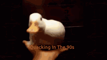 Quacking Quacking In The90s GIF - Quacking Quacking In The90s Duck GIFs