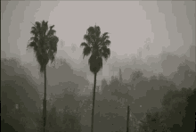 Foggy La GIF - Foggy Fog Foggy Weather GIFs