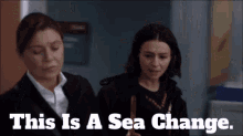 Greys Anatomy Amelia Shepherd GIF - Greys Anatomy Amelia Shepherd This Is A Sea Change GIFs