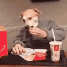 Dog Selfie Taxes GIF - Dog Selfie Taxes Funny Animals GIFs
