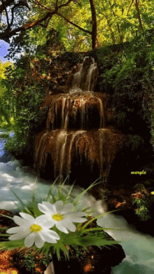 waterfall nature