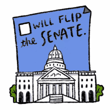 flip the senate senate senate race vote blue democrat