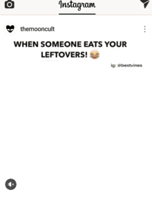 Thanksgiving Leftovers GIF - Thanksgiving Leftovers GIFs