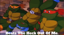 Tmnt Michelangelo GIF - Tmnt Michelangelo Beats The Heck Out Of Me GIFs