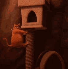Sheen Lazy GIF - Sheen Lazy Fat Cat GIFs