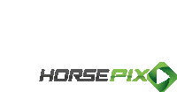Horsepix Sticker
