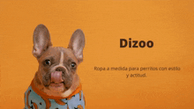 Dizoo GIF - Dizoo GIFs
