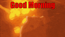Good Morning Hamster GIF - Good Morning Hamster Explosion GIFs