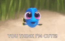 Baby Dory Laughing GIF - Baby Dory Laughing Finding Dory GIFs