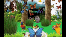 Butterflys Fun GIF - Butterflys Fun Peter7 GIFs