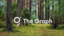 The Graph Meme Graph GIF - The Graph Meme Graph Protocol GIFs